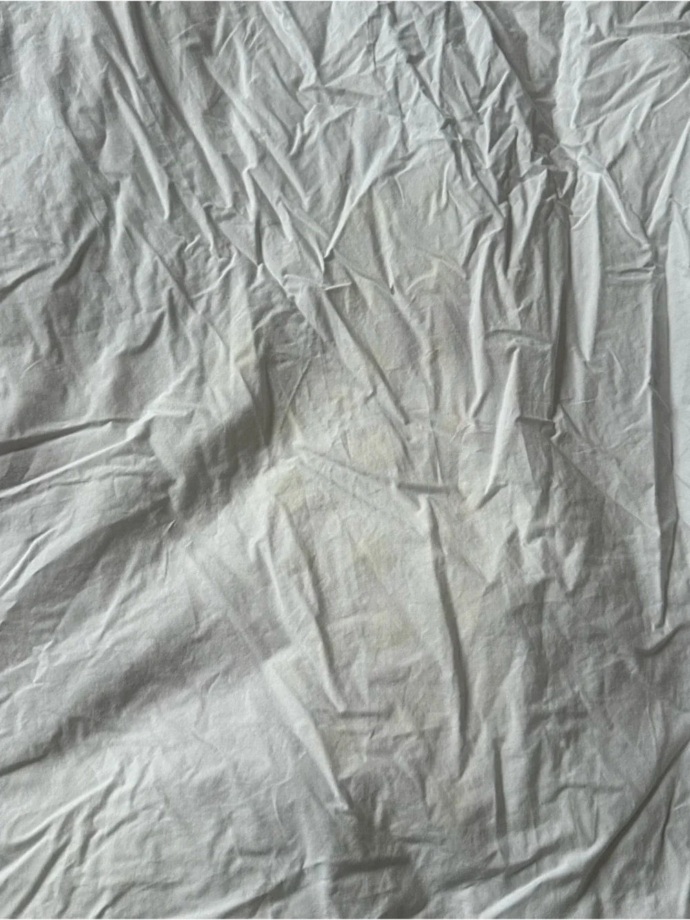 Pottery Barn 100% Cotton King Duvet Cover Embroidered Bugs Print